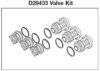Valve Kit